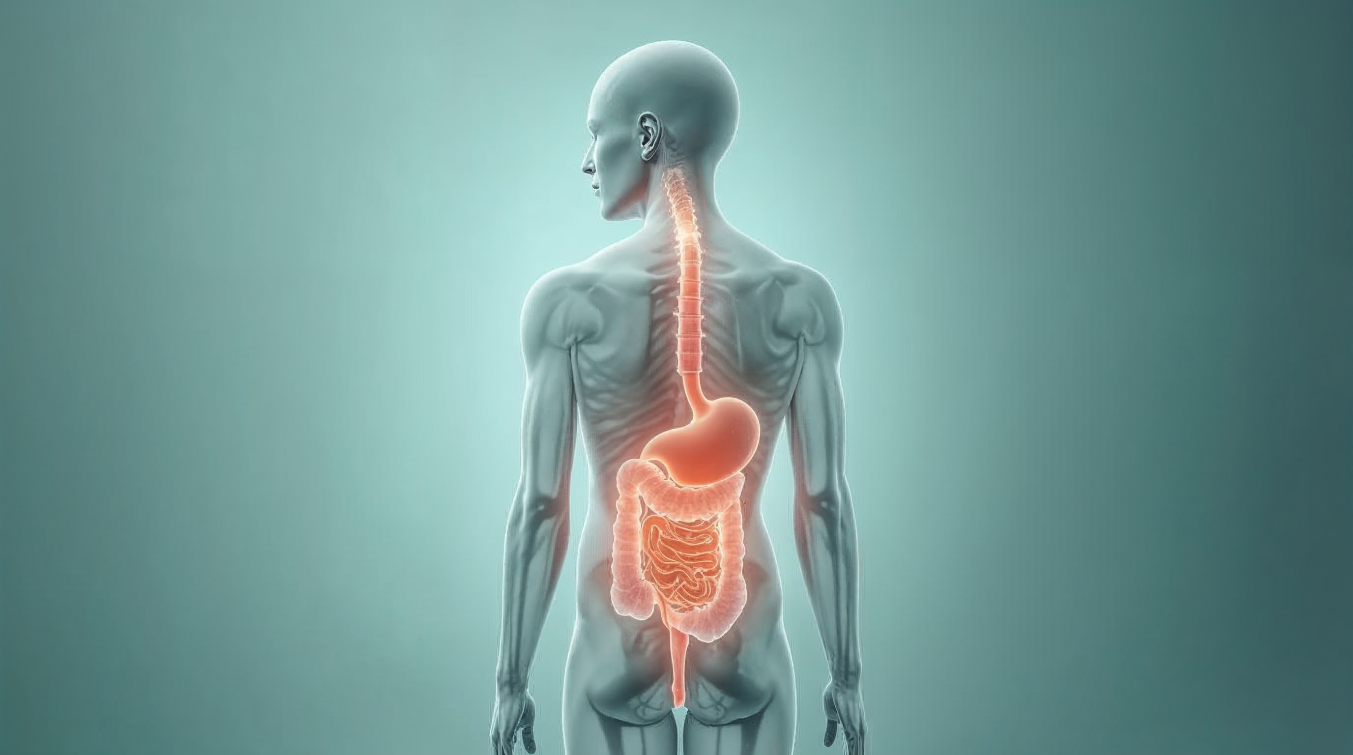 Fizjoterapia: Holistyczna diagnostyka i terapia przewlekłego bólu